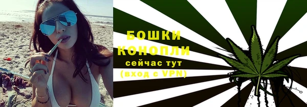 ECSTASY Белокуриха