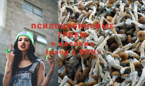 спиды Беломорск