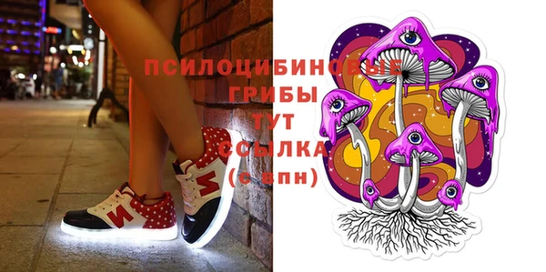 ECSTASY Белокуриха