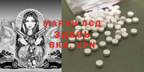 ECSTASY Белокуриха