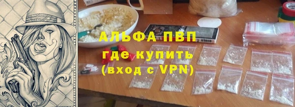 ECSTASY Белокуриха