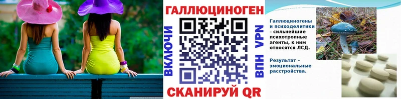 купить наркоту  Красный Холм  Псилоцибиновые грибы Psilocybe 