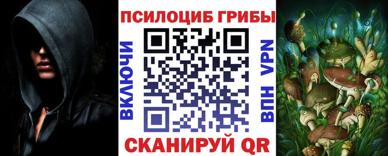 Галлюциногенные грибы Cubensis Красный Холм